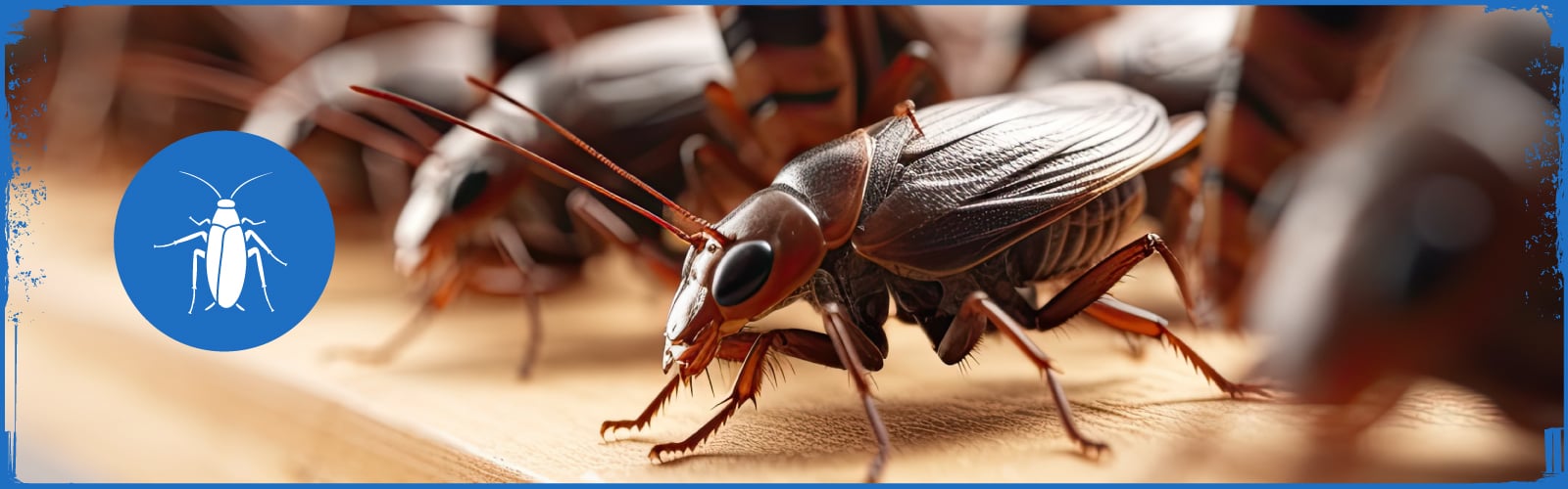 Steadfast Roach Removal & Pest Control