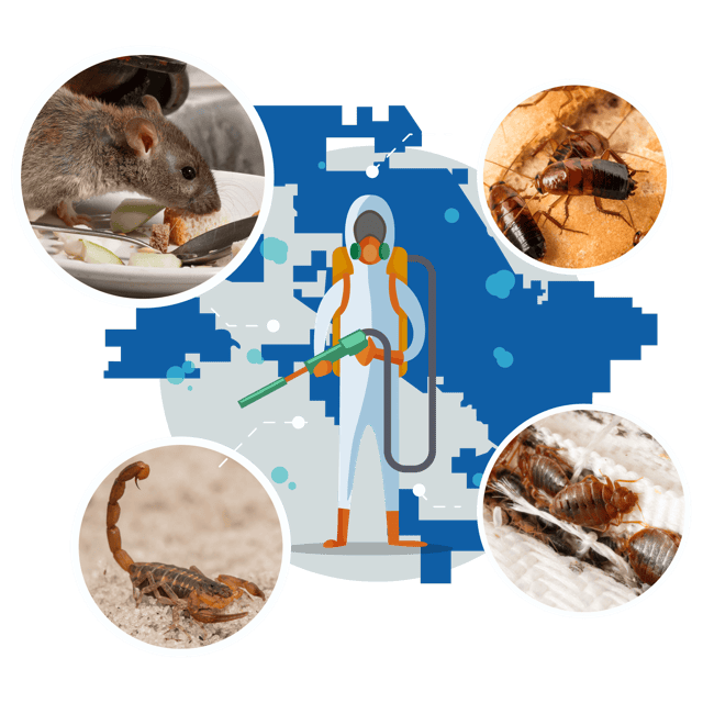 Casa Grande Pest Control Services