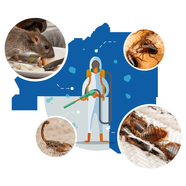 Mesa Pest Control Services