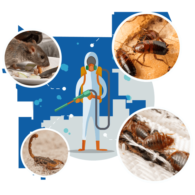 Queen Creek Pest Control Services