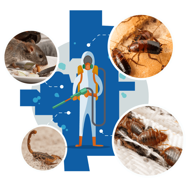 San Tan Valley Pest Control Services